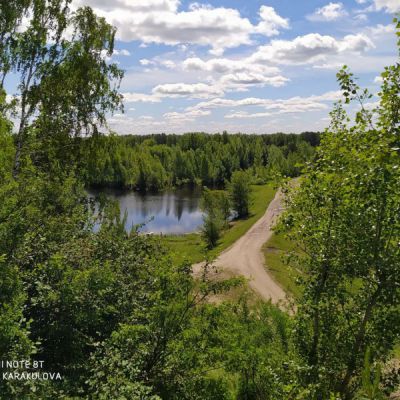 Каракулова Елена Евгеньевна 36 лет - Дорога в поселок Беляй г. Асино