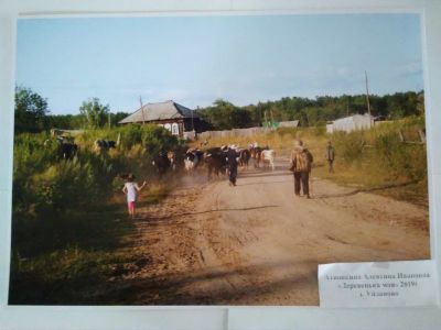 Атюшкина Алевтина Ивановна - Деревенька моя д. Уйданово