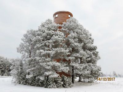 Костина Валентина Лукична 63 года.В снежном плену узоров с. Комсомольск.