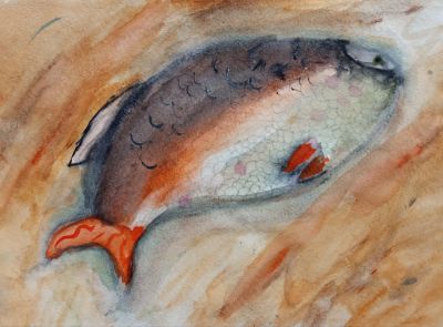 Полякова Анна, 11 лет Сибирская рыбка, акварель