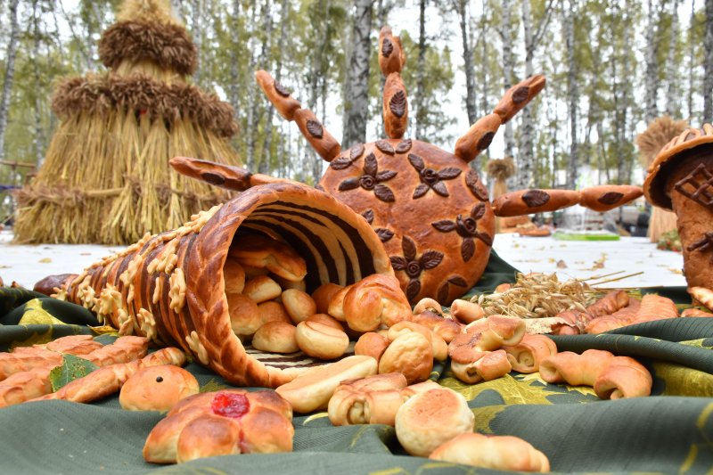 Село хлеба. Праздник хлеба Кожевниково. Каравай парк Кожевниково. Загородный парк праздник хлеба. Кожевниково Томской области день хлеба.