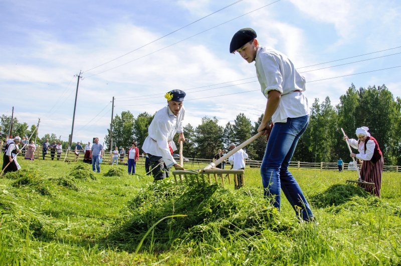 Янов день 2024 березовка