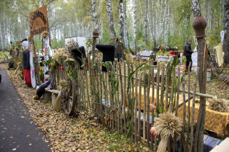 Погода в кожевниково томской. Село хлебное парк. Кожевниково Томская область красивые места. Кожевникова фото села. Зацепина Кожевниково Томской.