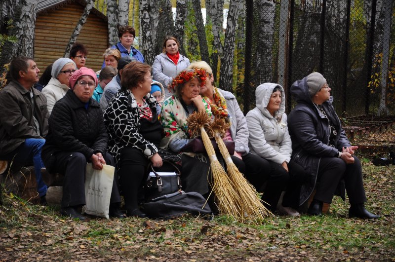 Погода в кожевниково томской